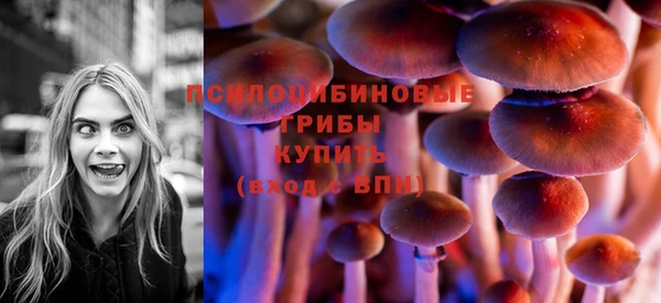 метадон Кодинск