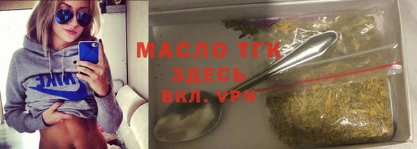сатива Карпинск