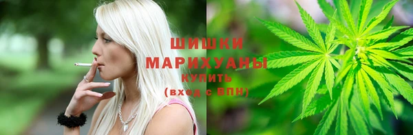 сатива Карпинск