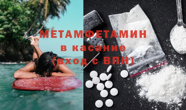 прущие грибы Касимов