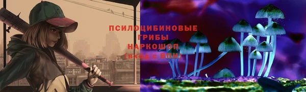 прущие грибы Касимов