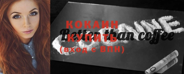 стаф Каменка