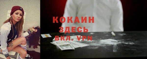 сатива Карпинск