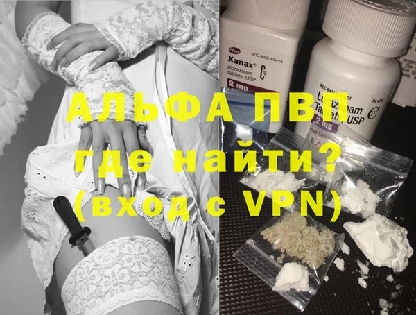 сатива Карпинск