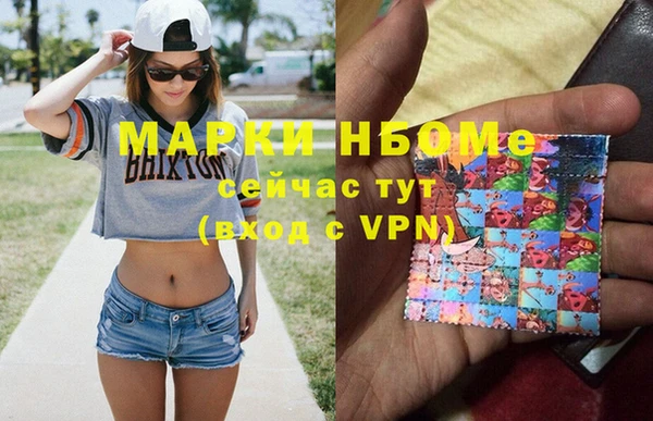 сатива Карпинск