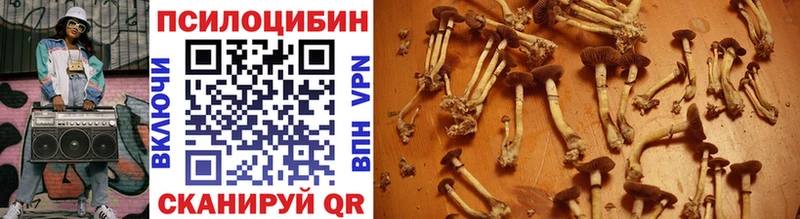 что такое наркотик  Верхняя Тура  Псилоцибиновые грибы прущие грибы 